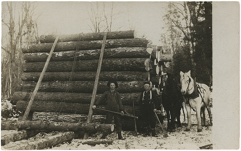 Skovarbejdere Brantwood Ca 1907. Skovarbejdere Brantwood Ca 1907.