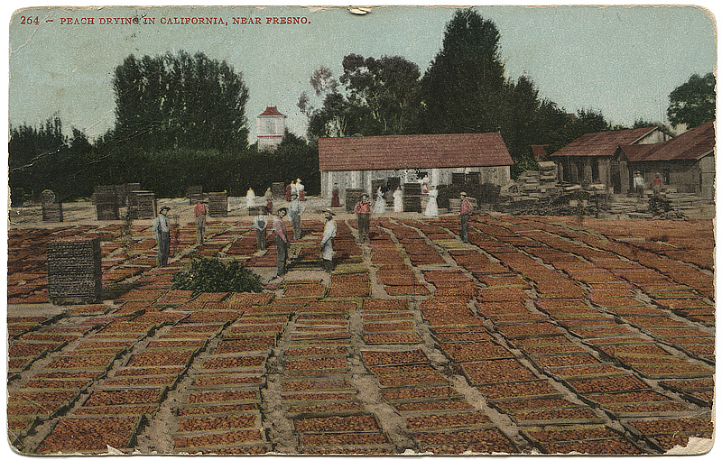 Postkort fra Stine i Californien Postkort fra Stine i Californien